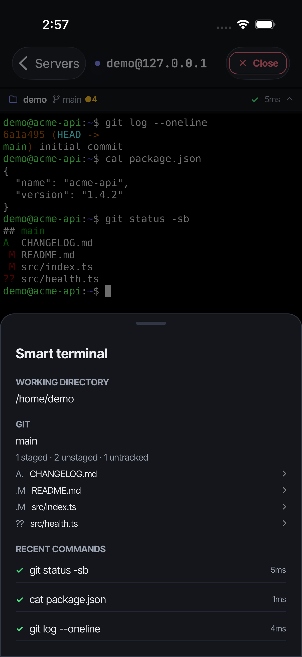 Smart terminal — command status, timing & working dir